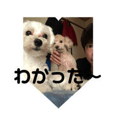 yasu_20190812022150