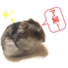 ayumi_20190812025618