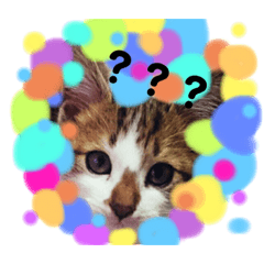 pon_20190812090423