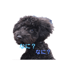 riri_20190810135825