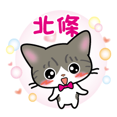 hojyo's sticker silver tabby cat ver.