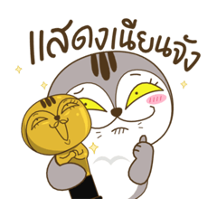 เหมียวกวิ้น