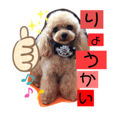 20190810cocone0903