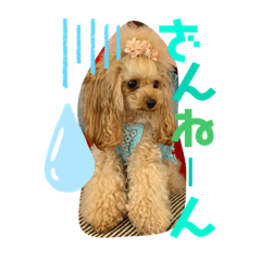20190810cocone