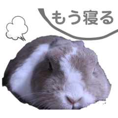 nono_20190812163701