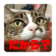 omochi_20190812163609