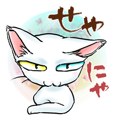 KeiN.'s White cat(Kansai accent version)