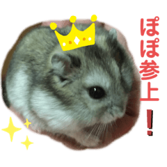 ayumi_20190812184857