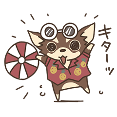 チワワ チョコタン のマナちゃん 夏 Line スタンプ Line Store チワワ チョコタン のマナちゃん 夏 Line スタンプ Line Store