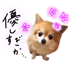 Ruby_20190812170159