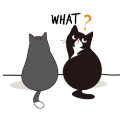 Sunnie Cat