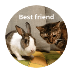 Best Friend Twinkle & Miffy