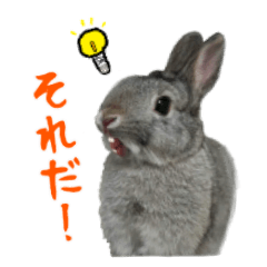 Stamp of an individual rabbit
