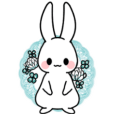 Cute and gentle rabbits for everyday use