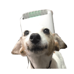 PIA-THE-JRT