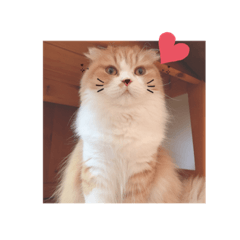riho_20190812220833