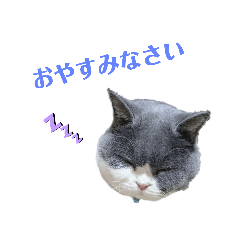 ayumi_20190813002955