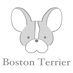 สุนัขบอสตันเทอร์เรียชอบมะเขือเทศ