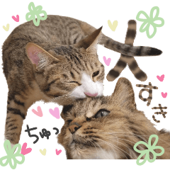kijishiro&chinchillan_stamps