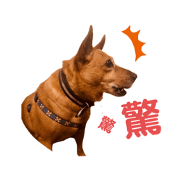 寶貝貼圖米克斯