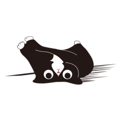 Sunnie Cat 2