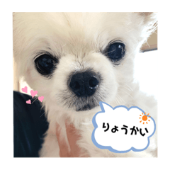 asuka_20190811174040