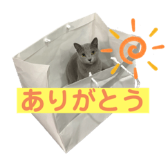 tomomi_20190811183313