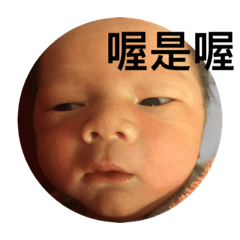 牛牛的日常生活表情包