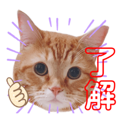 tama..