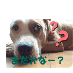yosi_20190813165219