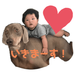 yosi_20190813165533