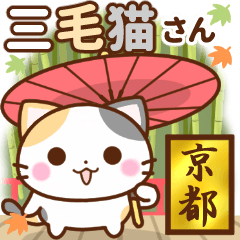 京都の三毛猫さん