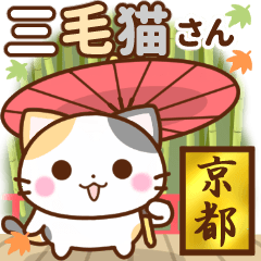 Kyoto's calico