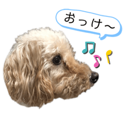 asuka_20190813164843