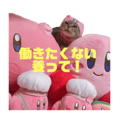 ha_20190813175522