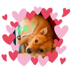 kana1002_20190813195023