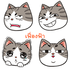 FUNGFA trollcat emoji