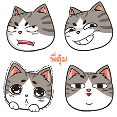 PITUM2 trollcat emoji