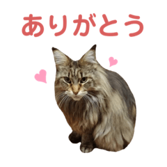 KEN_20190813234101