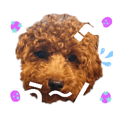 ponta_20190814055916