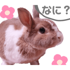 nono_20190813231926