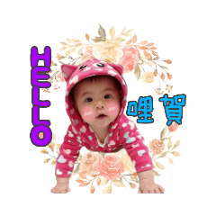 小葵的世界