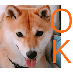 mame_20190814070716
