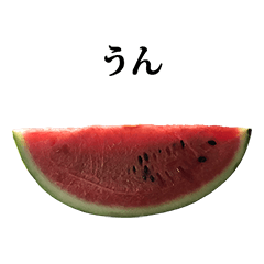 suika cut B watermelon 2