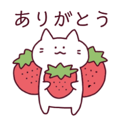 ねこ時々たぬき Line スタンプ Line Store