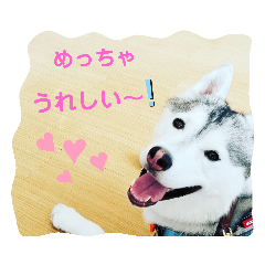 jasmine_20190814020008