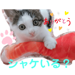 omochidechuno