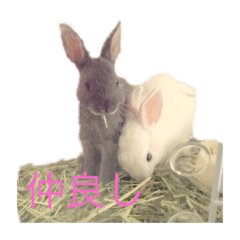 mimi_20190814033748