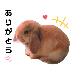 モコナちゃん １