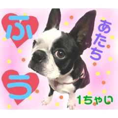 AYANO_20190814134652